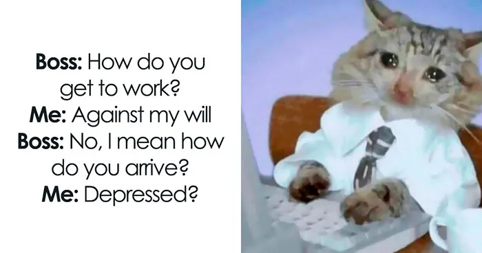 51 Hilarious Memes That Are Here For You When Your Friends Aren’t