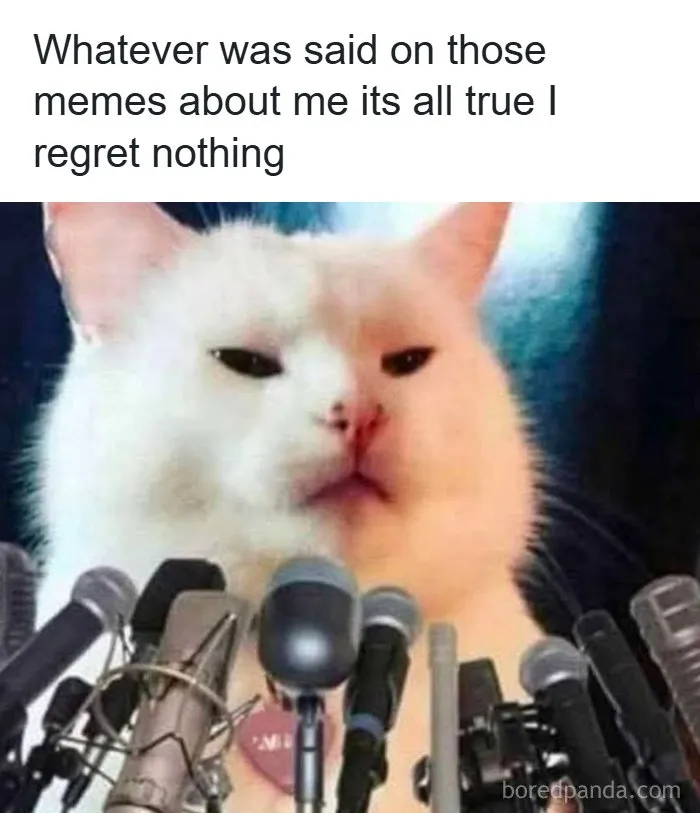 32 Funny Memes To Give You A Break From All That Doomscrolling