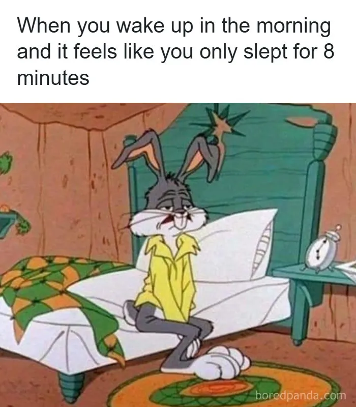 32 Funny Memes To Give You A Break From All That Doomscrolling