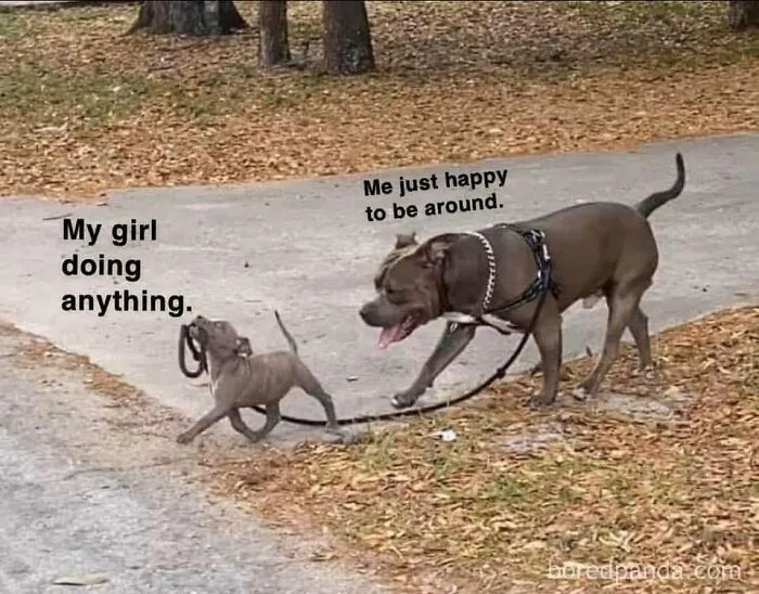 “Us”: 73 Hilarious Memes To Send To Your Partner