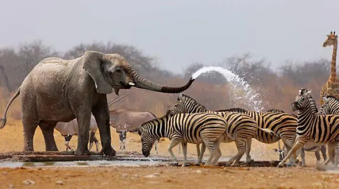 Sudáfrica