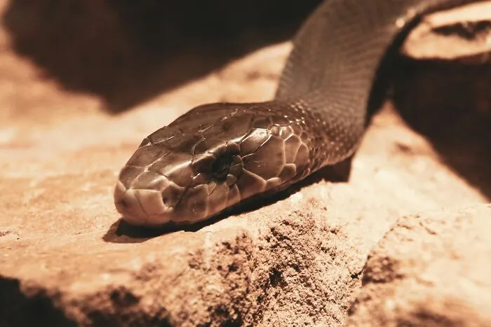 43 Horrifying Historical Facts That Only A Few People Know About
