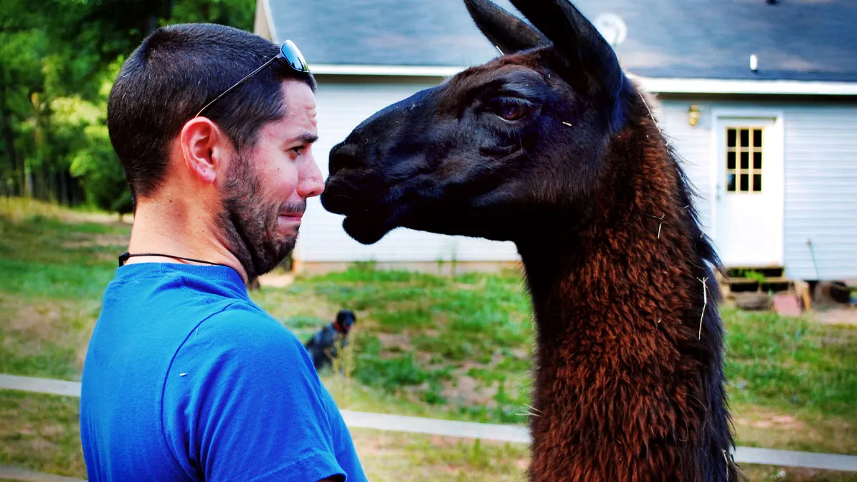 “That Felt Good”: 61 People Share The Most Satisfying Moments Of Karma They’ve Witnessed Firsthand