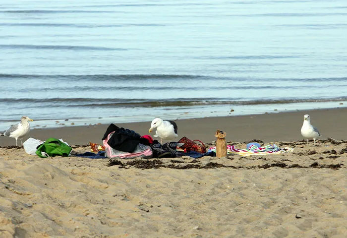 45 People Recall The Most Impressive Yet Harmless Revenge They’ve Ever Seen