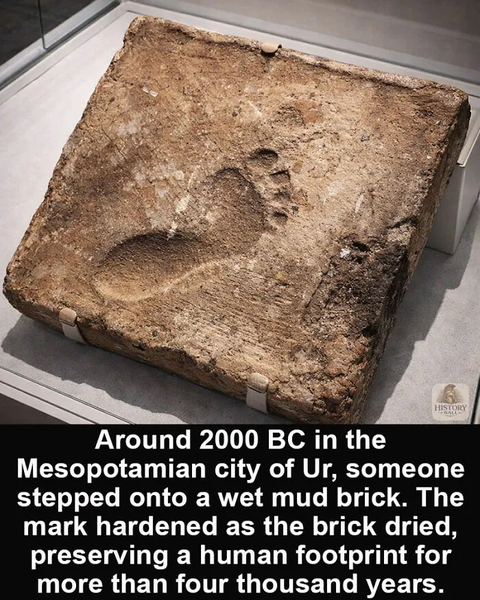 79 Interesting “Historical Marvels” That Have Survived Through Time To Amaze Us Today