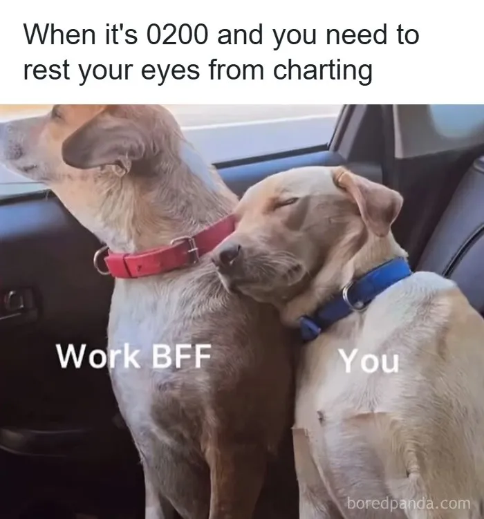 65 Funny Memes That Perfectly Depict The Struggles Of Doctors And Nurses