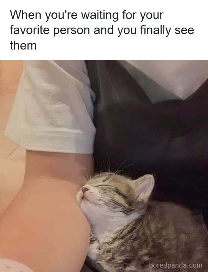 “Us”: 73 Hilarious Memes To Send To Your Partner