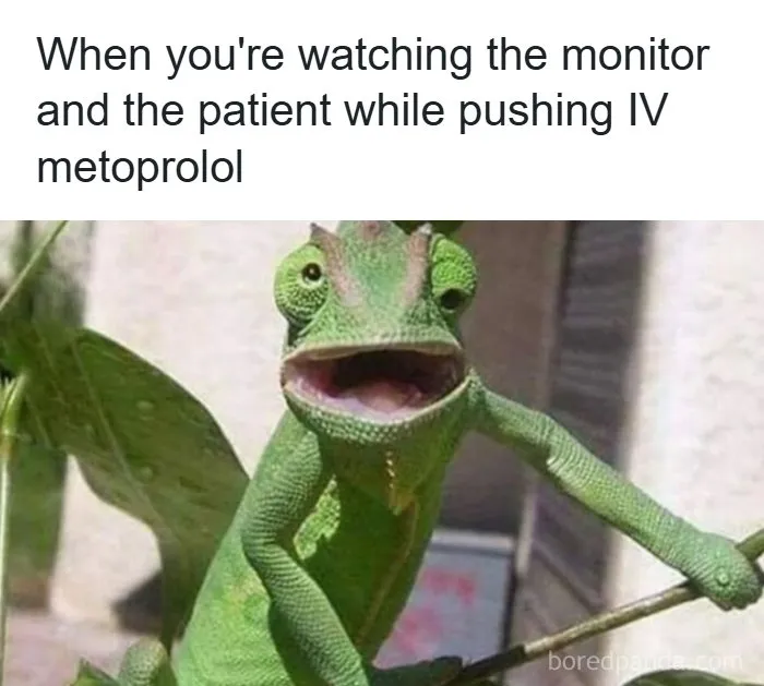 65 Funny Memes That Perfectly Depict The Struggles Of Doctors And Nurses
