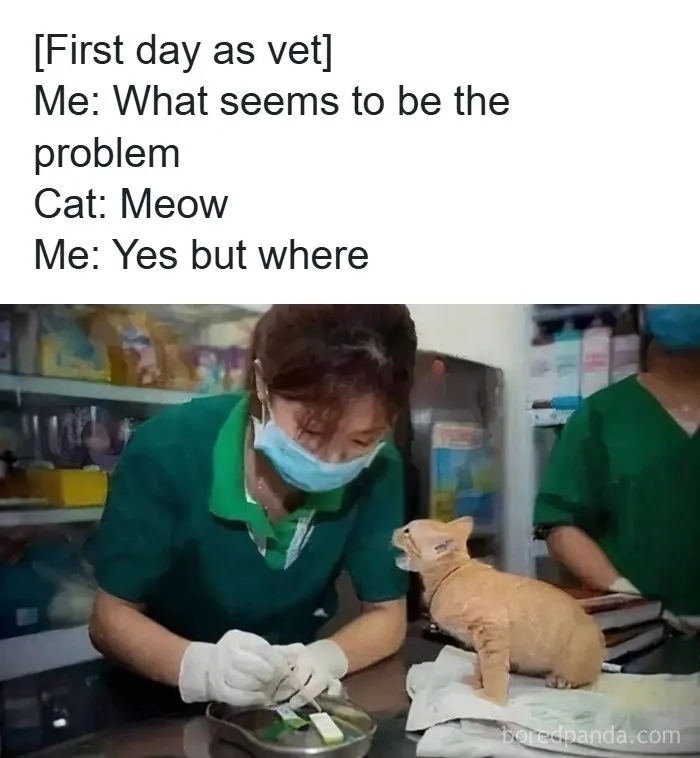 If You Haven’t Laughed For A While, These 37 Memes Might Crack You Up