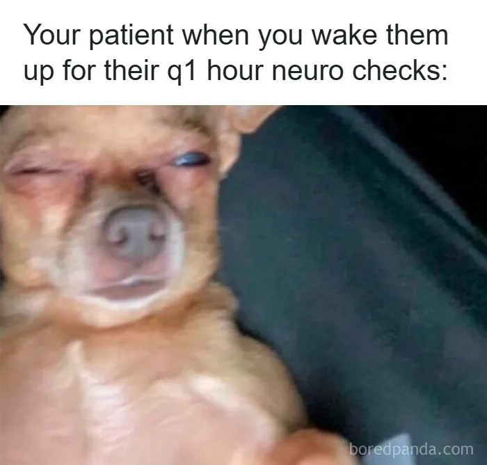 65 Funny Memes That Perfectly Depict The Struggles Of Doctors And Nurses