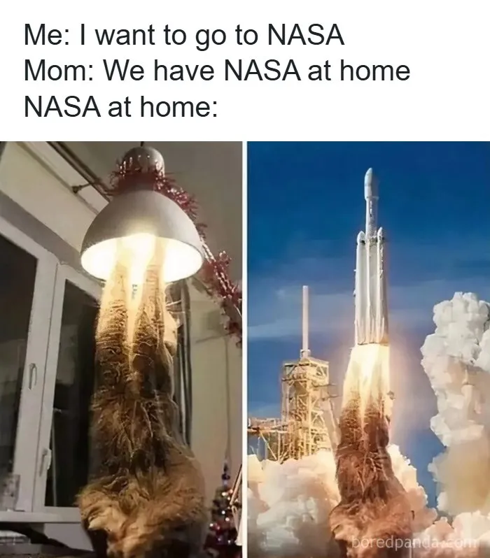 If You Haven’t Laughed For A While, These 37 Memes Might Crack You Up