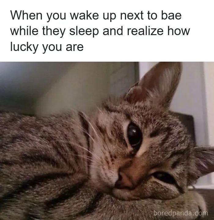 “Us”: 73 Hilarious Memes To Send To Your Partner