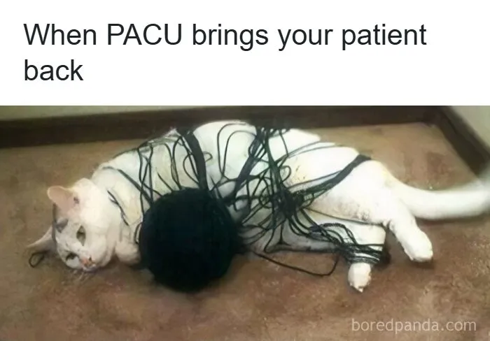 65 Funny Memes That Perfectly Depict The Struggles Of Doctors And Nurses