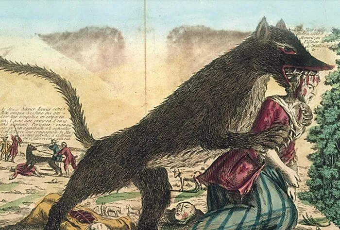 The Beast Of Gévaudan Was A Creature With "Formidable Teeth, And An Immense Tail" Believed To Have Attacked 610 People, Resulting In 500 Casualties Between 1764 And 1767 In The Margeride Mountains Of France