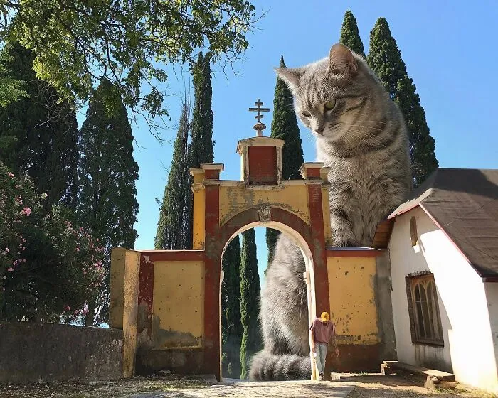 This Artist’s Giant Cat Photoshop Series Returns With 26 New Pics