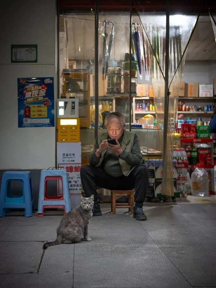 This Photographer Captured 40 New Photos Of Street Cats Around The World That Are Full Of Character