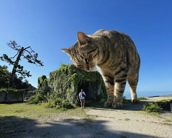 This Artist’s Giant Cat Photoshop Series Returns With 26 New Pics