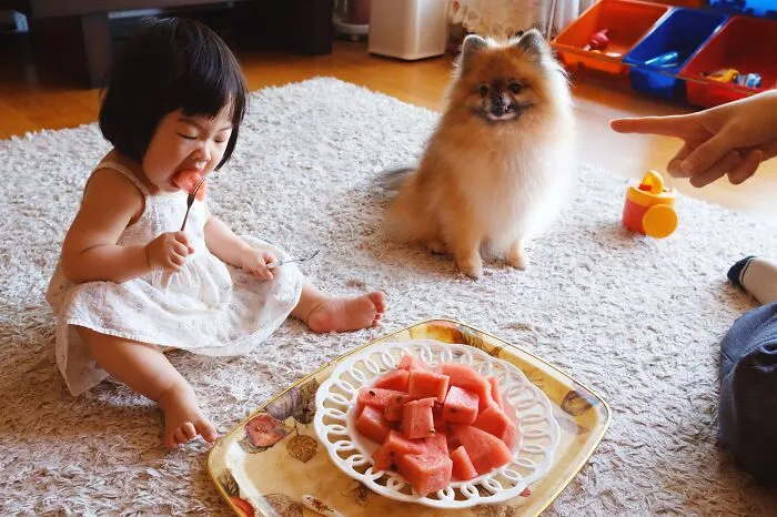 “A Portrait Of The Most Average K-Parenting Today” By Seungho Kim
