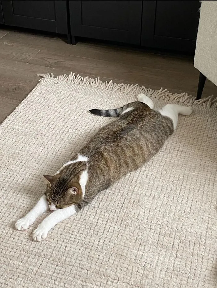 We Call This Position “Pancaking”