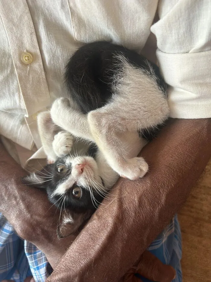 Hold Me