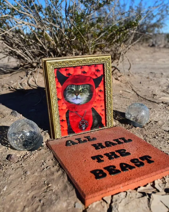 This Photographer Explored Pet Cemeteries Worldwide, Capturing 23 Touching Images Of Pet Graves (New Pics)