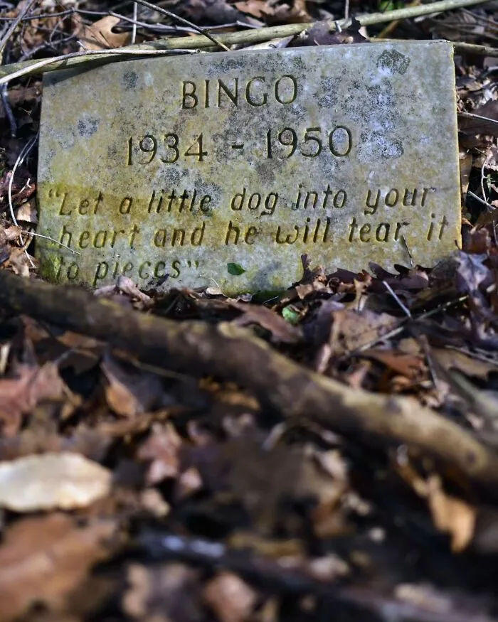 This Photographer Explored Pet Cemeteries Worldwide, Capturing 23 Touching Images Of Pet Graves (New Pics)