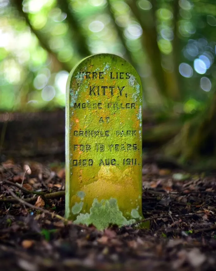 This Photographer Explored Pet Cemeteries Worldwide, Capturing 23 Touching Images Of Pet Graves (New Pics)