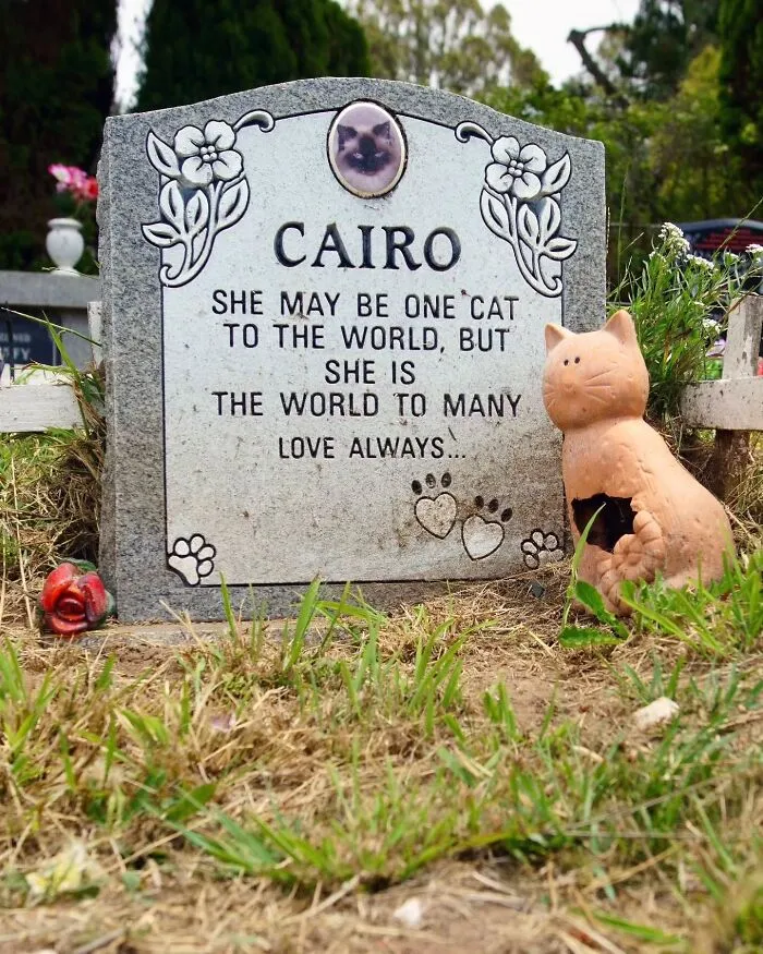 This Photographer Explored Pet Cemeteries Worldwide, Capturing 23 Touching Images Of Pet Graves (New Pics)