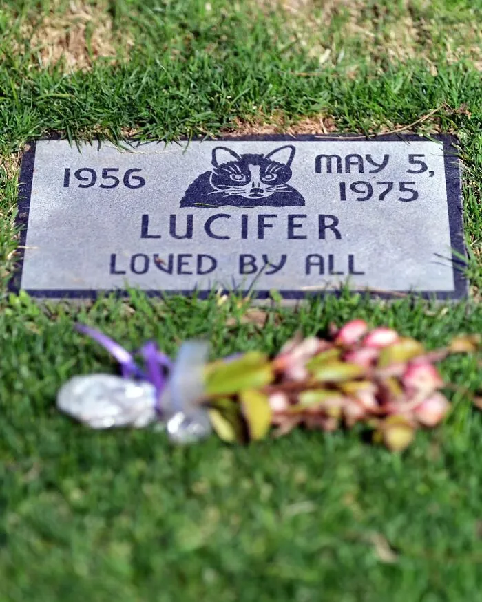 This Photographer Explored Pet Cemeteries Worldwide, Capturing 23 Touching Images Of Pet Graves (New Pics)