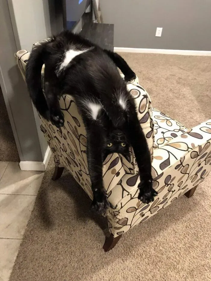 Upside Down