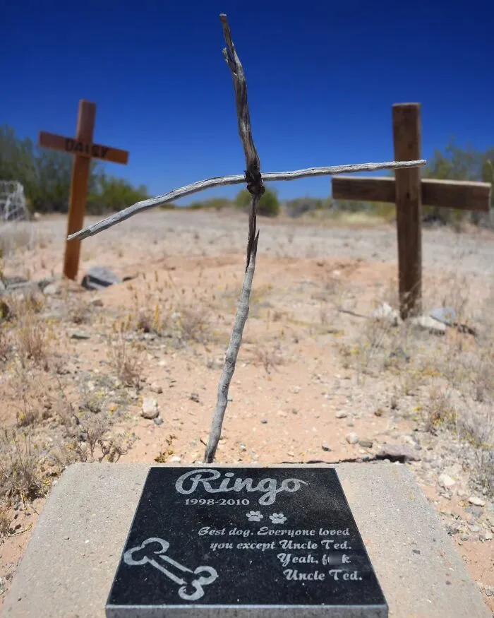 This Photographer Explored Pet Cemeteries Worldwide, Capturing 23 Touching Images Of Pet Graves (New Pics)