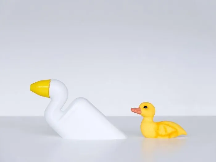 Wc-Ente