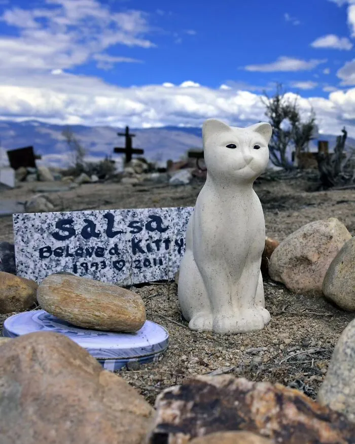 This Photographer Explored Pet Cemeteries Worldwide, Capturing 23 Touching Images Of Pet Graves (New Pics)