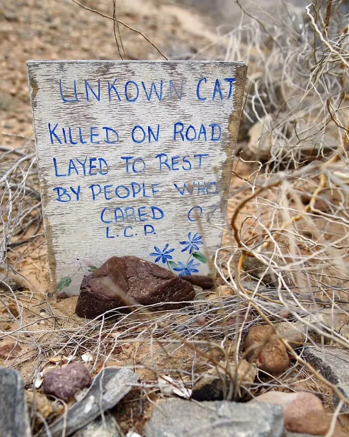 This Photographer Explored Pet Cemeteries Worldwide, Capturing 23 Touching Images Of Pet Graves (New Pics)