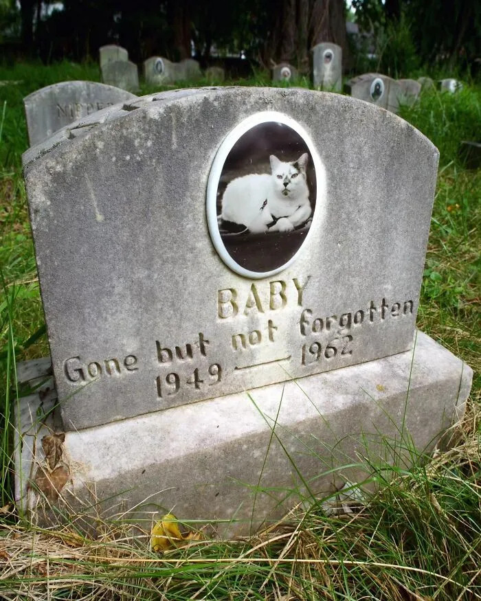 This Photographer Explored Pet Cemeteries Worldwide, Capturing 23 Touching Images Of Pet Graves (New Pics)