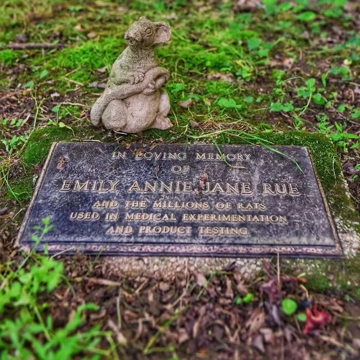 This Photographer Explored Pet Cemeteries Worldwide, Capturing 23 Touching Images Of Pet Graves (New Pics)
