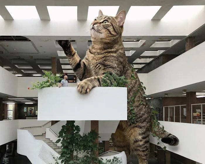 This Artist’s Giant Cat Photoshop Series Returns With 26 New Pics