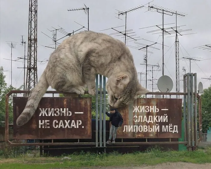 This Artist’s Giant Cat Photoshop Series Returns With 26 New Pics