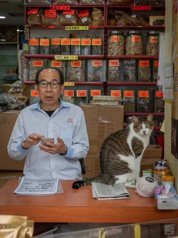 This Photographer Captured 40 New Photos Of Street Cats Around The World That Are Full Of Character