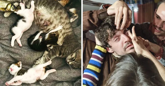 85 Times People Snapped Pics So Beautiful They Ended Up In "Accidental Renaissance" (New Pics)
