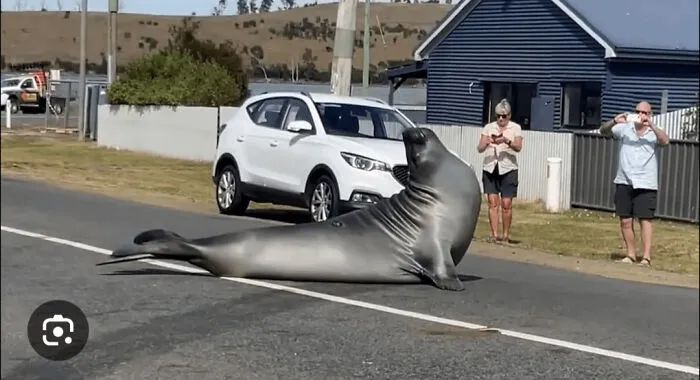 Australia