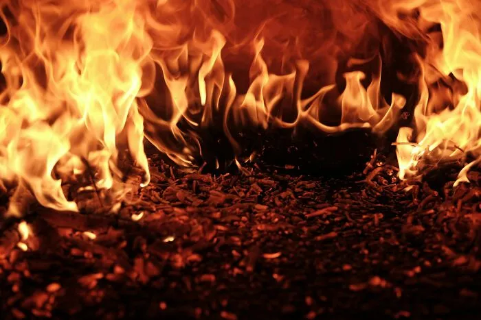 79 Family Secrets That Involve Shocking Crimes