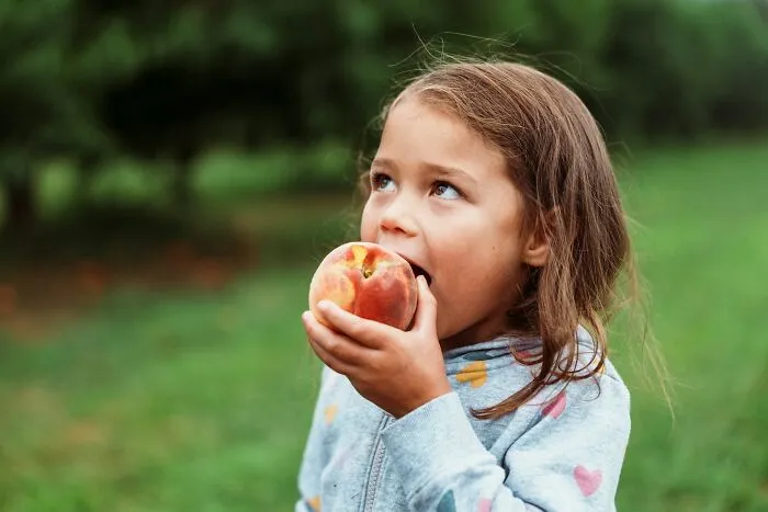 36 Moments People Discovered Their Family’s “Normal” Was Actually Pretty Unusual