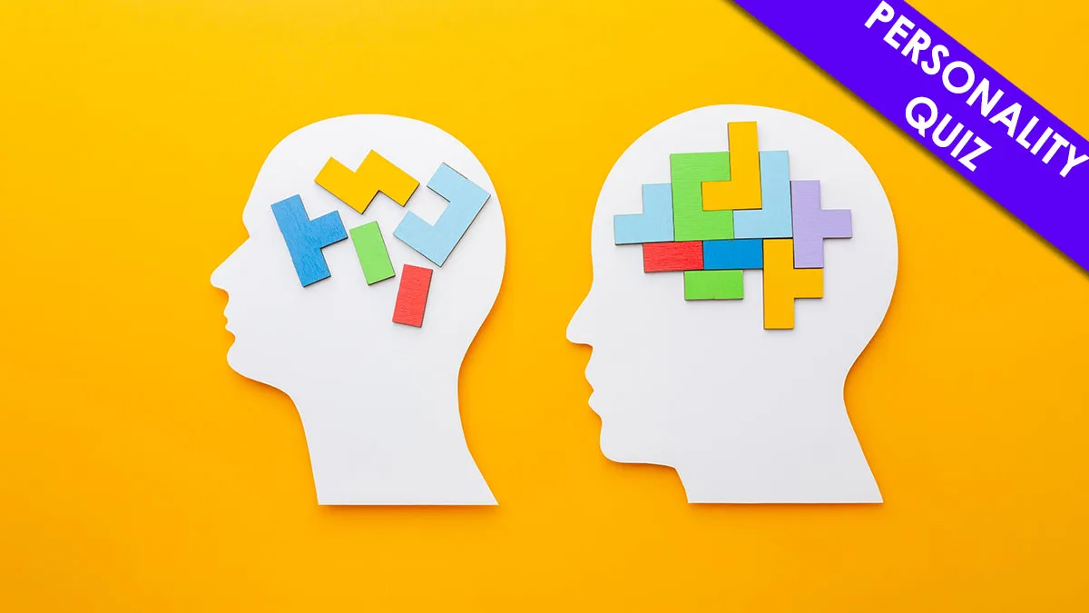 30 Questions That Reveal Whether You're A Left-Brain Or Right-Brain Thinker