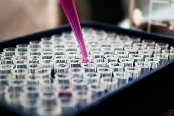 “My Mom Has No Idea”: People Are Sharing Their DNA Test Drama Stories And These 37 Are Wild