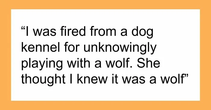 103 Bosses Share The Funniest And Weirdest Reasons They Had To Fire Someone