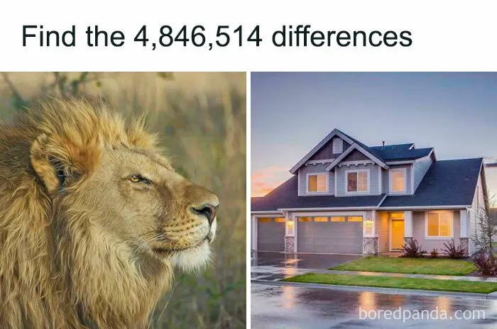 Spot The Differences