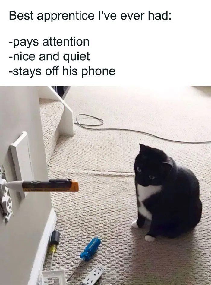 87 Memes So Hilarious And Simple They Might Make Your Day Way Better
