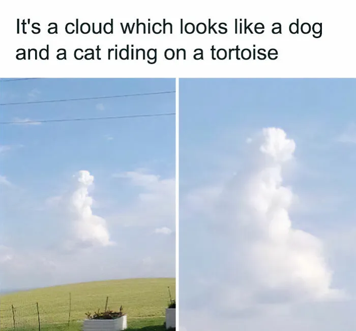 87 Memes So Hilarious And Simple They Might Make Your Day Way Better
