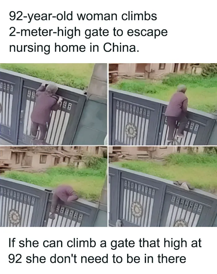 87 Memes So Hilarious And Simple They Might Make Your Day Way Better